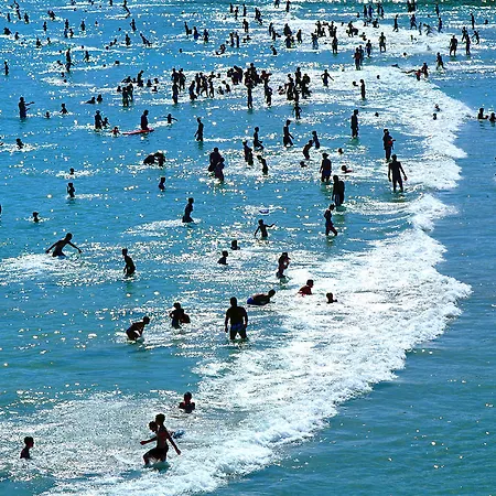 Apartment Apartment Vicenco Top Location